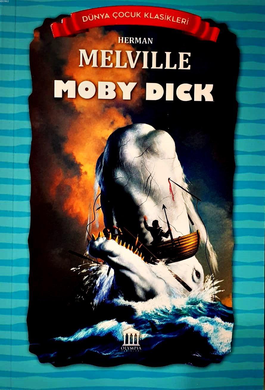 Why did melville write moby dick