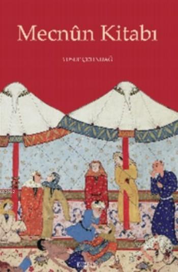 Mecnûn Kitabı