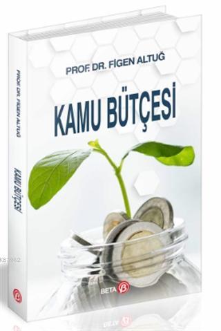 Kamu Bütçesi