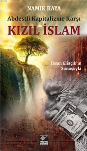 Kızıl İslam; Abdestli Kapitalizme Karşı