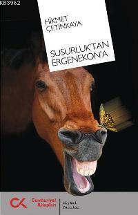 Susurluk´tan Ergenekon´a