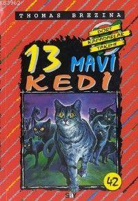13 Mavi Kedi; Büyük Dört Kafadarlar Takımı 42