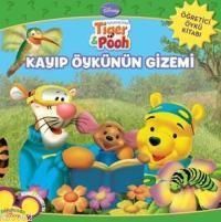 Kayıp Öykünün Gizemi