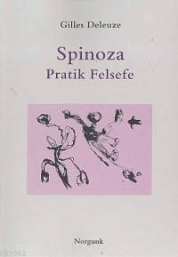 Spinoza; Pratik Felsefe