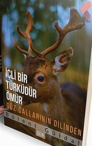 İçli Bir Türküdür Ömür Güz Dallarının Dilinden
