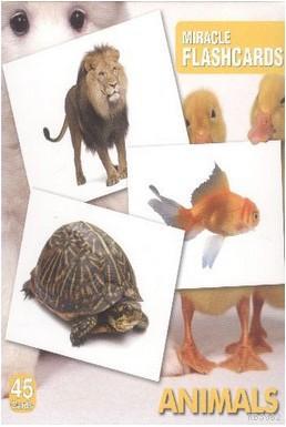 Miracle FlashCards| Animals; 45 Cards