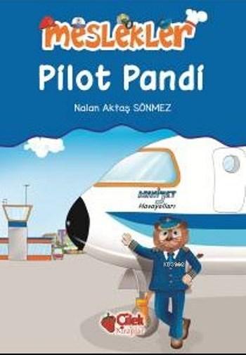 Pilot Pandi; Meslekler