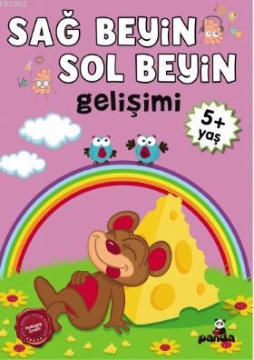 5 Yaş Sağ Beyin-Sol Beyin Gelişimi