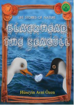 Blackhead The Seagull
