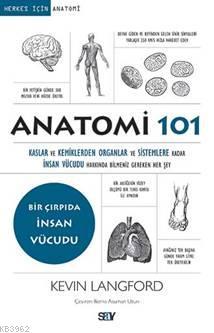 Anatomi 101; Kaslar ve Kemiklerden Organlar ve Sistemlere kadar İnsan Vücudu Hakkında Bilmeniz Gereken Her Şey