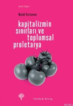 Kapitalizmin Sınırları ve Toplumsal Proletarya