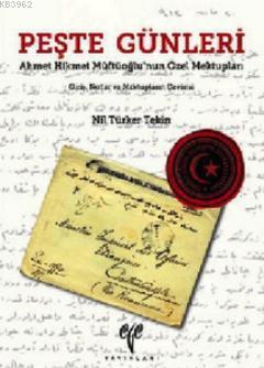 Peşte Günleri; Ahmet Hikmet Müftüoğlu'nun Özel Mektupları-Giriş, Notlar ve Mektupların Çevirisi