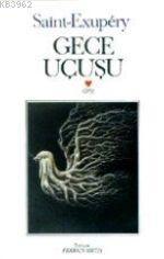 Gece Uçuşu