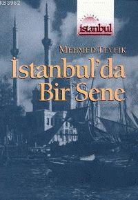 İstanbul'da Bir Sene