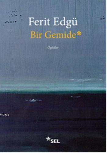Bir Gemide