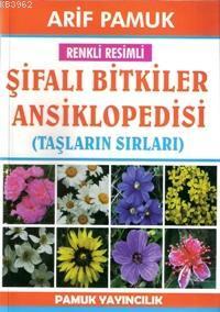 Şifalı Bitkiler Ansiklopedisi (Bitki-022); Taşların Sırları