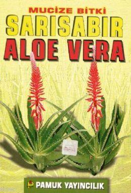 Mucize Bitki: Sarısabır Aloe Vera (Bitki-017)