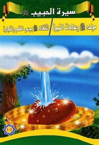  Siretül Habib Peygamberimizin Hayatı (5 Kitap Takım) | Tacettin Uzun | Mehmet Türk | Tacettin Uzun | Hikmet Evi Yayınları | 9786053512769 | 