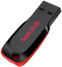 Kampanyalı Sandisk Usb Drive 16 Gb Sdcz50-016G-B35